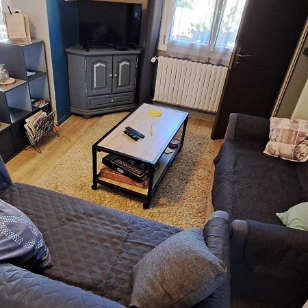 Ney Appartement "Les Calins" מראה חיצוני תמונה